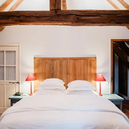 Le Champ Des Oiseaux &