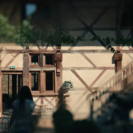 Le Champ Des Oiseaux & 4*