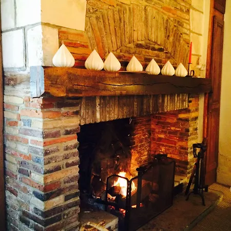 Le Champ Des Oiseaux &