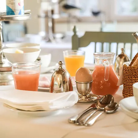 Le Champ Des Oiseaux &