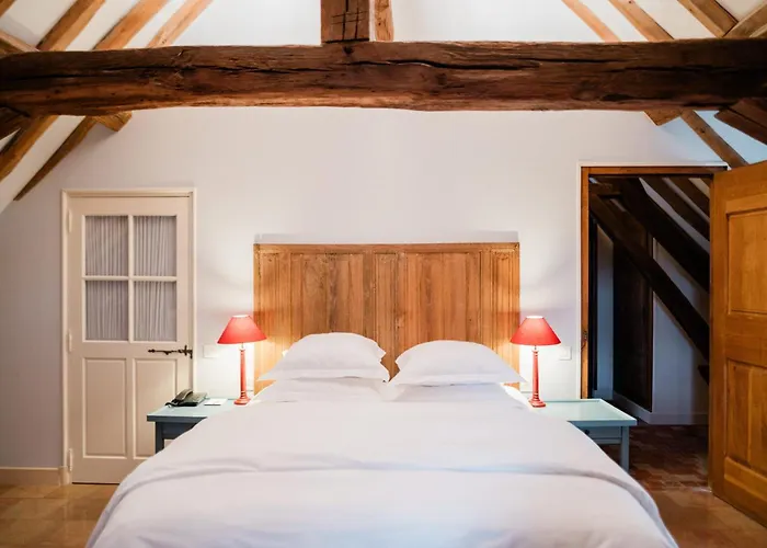 Le Champ Des Oiseaux &