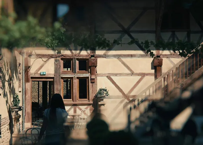 Le Champ Des Oiseaux & 4*