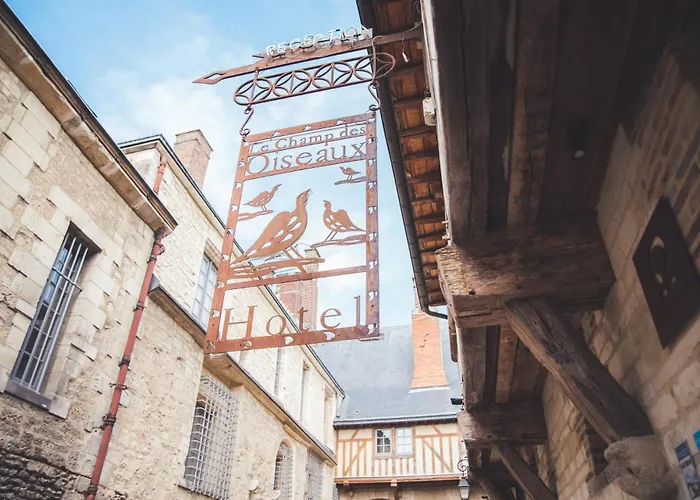 Le Champ Des Oiseaux &