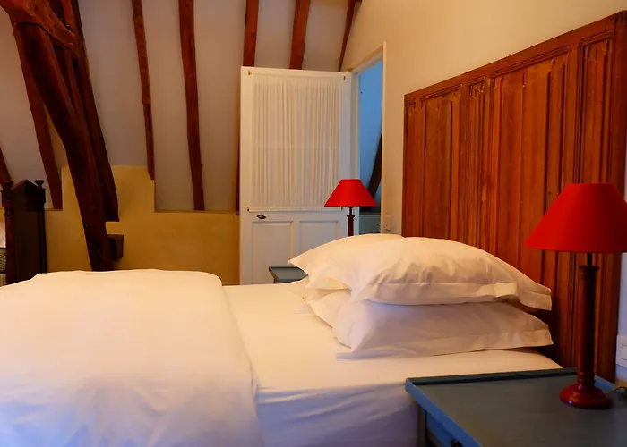 Le Champ Des Oiseaux &