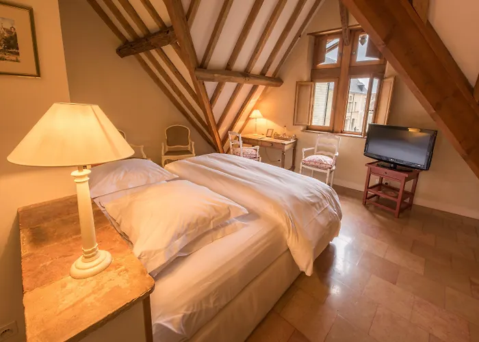 Hotel Le Champ Des Oiseaux & 4*