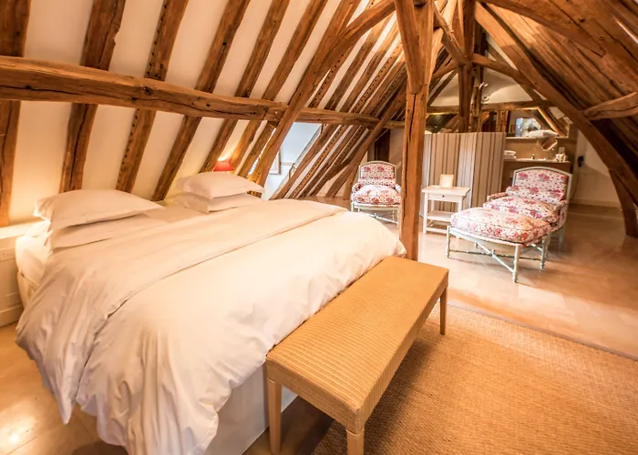 Le Champ Des Oiseaux &