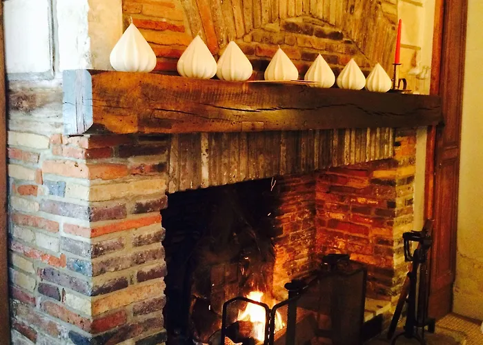 Le Champ Des Oiseaux &