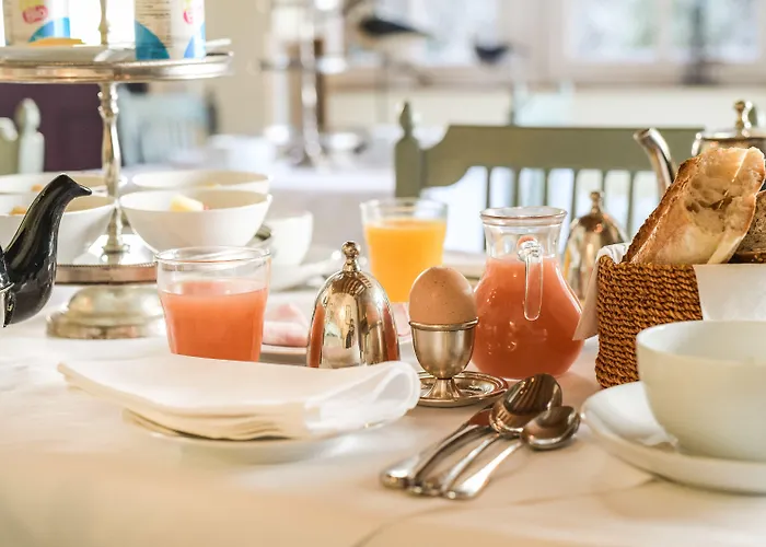 Le Champ Des Oiseaux &