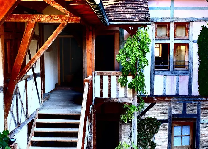 Hotel Le Champ Des Oiseaux & 4*