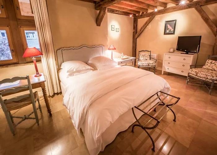 Le Champ Des Oiseaux &